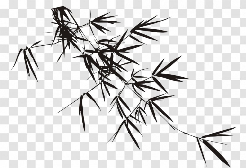 Bamboo Ink Brush - Branch Transparent PNG
