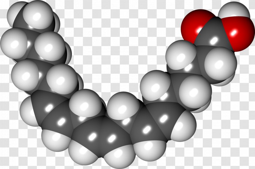 Alpha-Linolenic Acid Fatty Polyunsaturated Fat Gamma-Linolenic - Alphalinolenic Transparent PNG