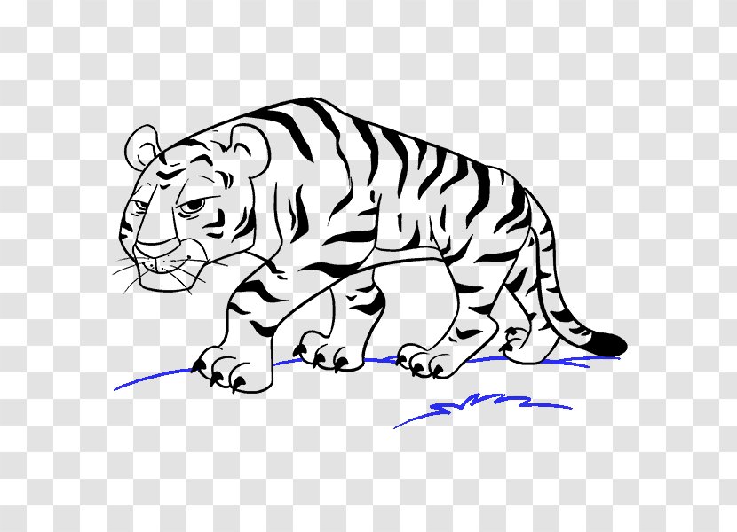 Drawing Tiger Cartoon Sketch - Black - Tony The Transparent PNG