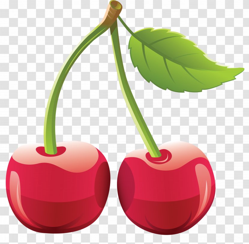 Cherry Clip Art - Food Transparent PNG