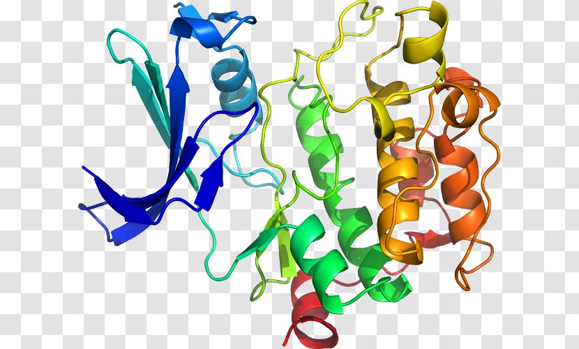 Serine/threonine-specific Protein Kinase NEK2 - Organism - Artwork Transparent PNG