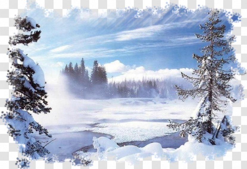 Winter Snow Desktop Wallpaper Blog - Spruce Transparent PNG