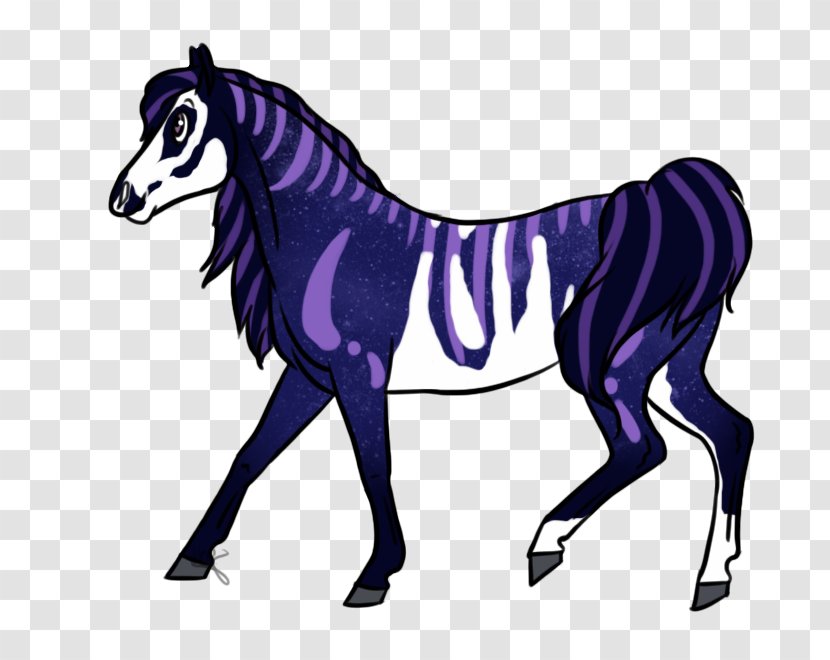 Foal Stallion Mustang Colt Mare Transparent PNG