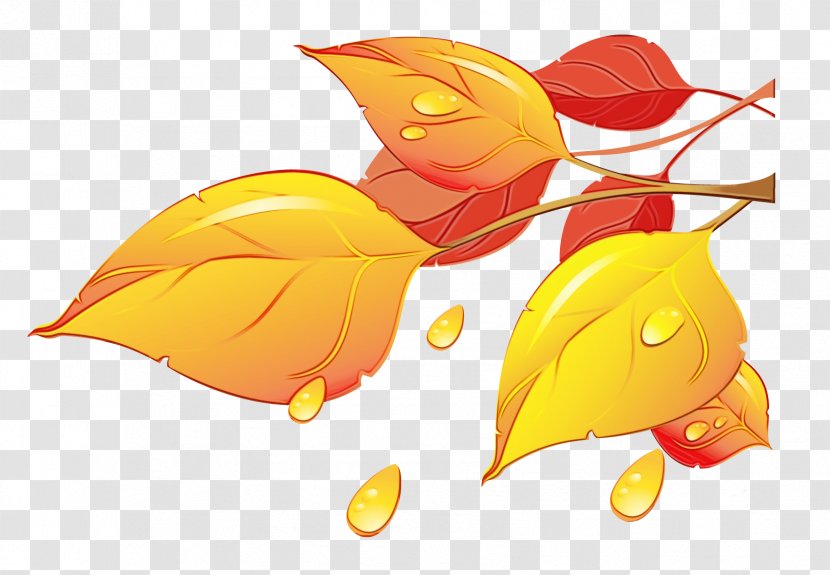 Autumn Leaf Drawing - Plant Yellow Transparent PNG