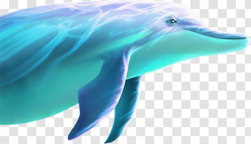 Dolphin - Dolphins Swimming Transparent PNG