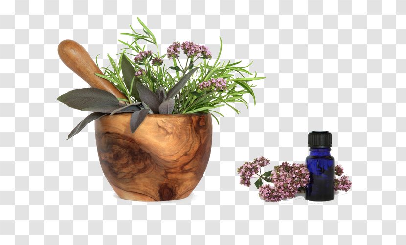Herb Distillation Skin Care Oil - Flowerpot Transparent PNG