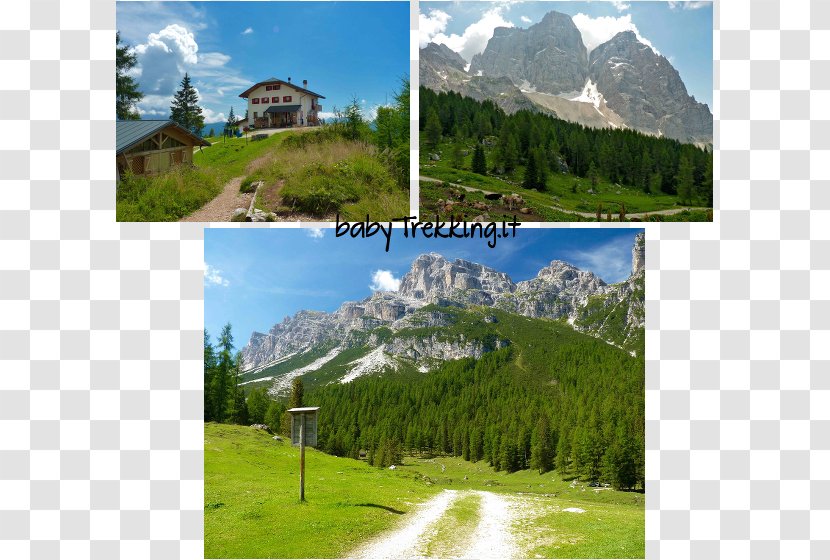 Mount Scenery Mountain Fassa Valley Fiemme Child - Meadow Transparent PNG