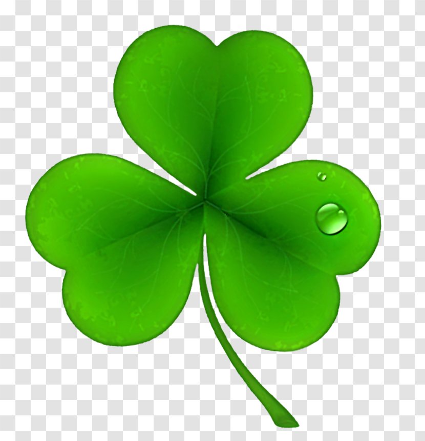 Ireland Saint Patrick's Day National ShamrockFest Public Holiday - Irish People - St Patricks Shamrock Clover PNG Clipart Transparent PNG