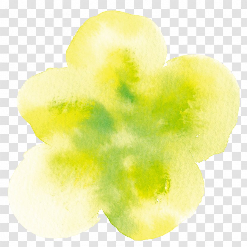 Yellow Google Images Computer File - Flower - Goose Ink Stained Flowers Transparent PNG