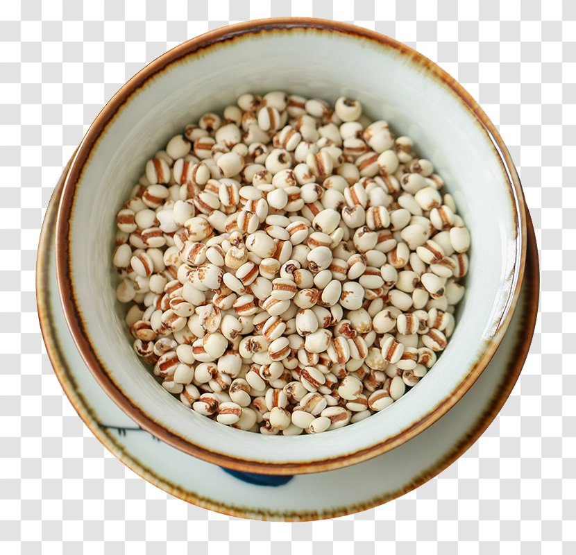 Cereal Download Icon - Attenuation - Dampness Of Barley Transparent PNG
