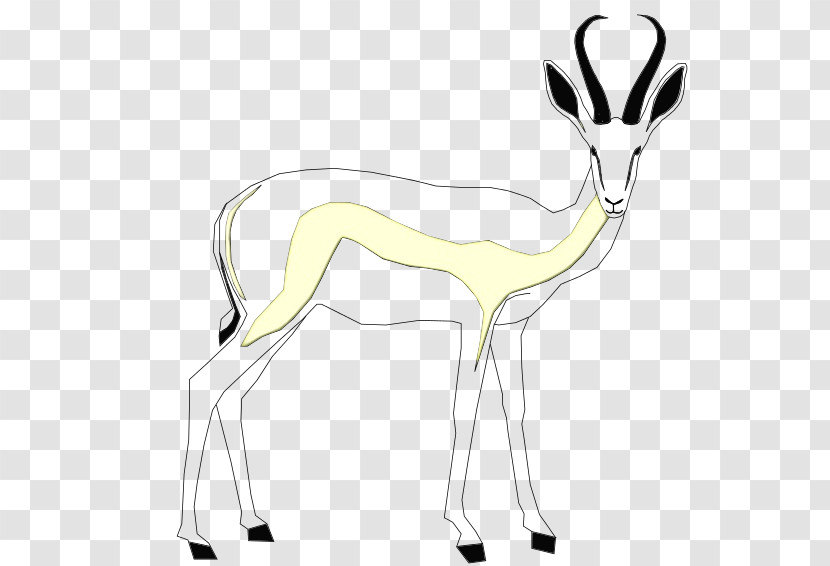 Springbok Deer Gazelles Line Art Transparent PNG