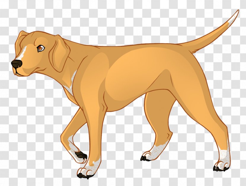 Dog Paw - Breed - Hound Portuguese Pointer Transparent PNG
