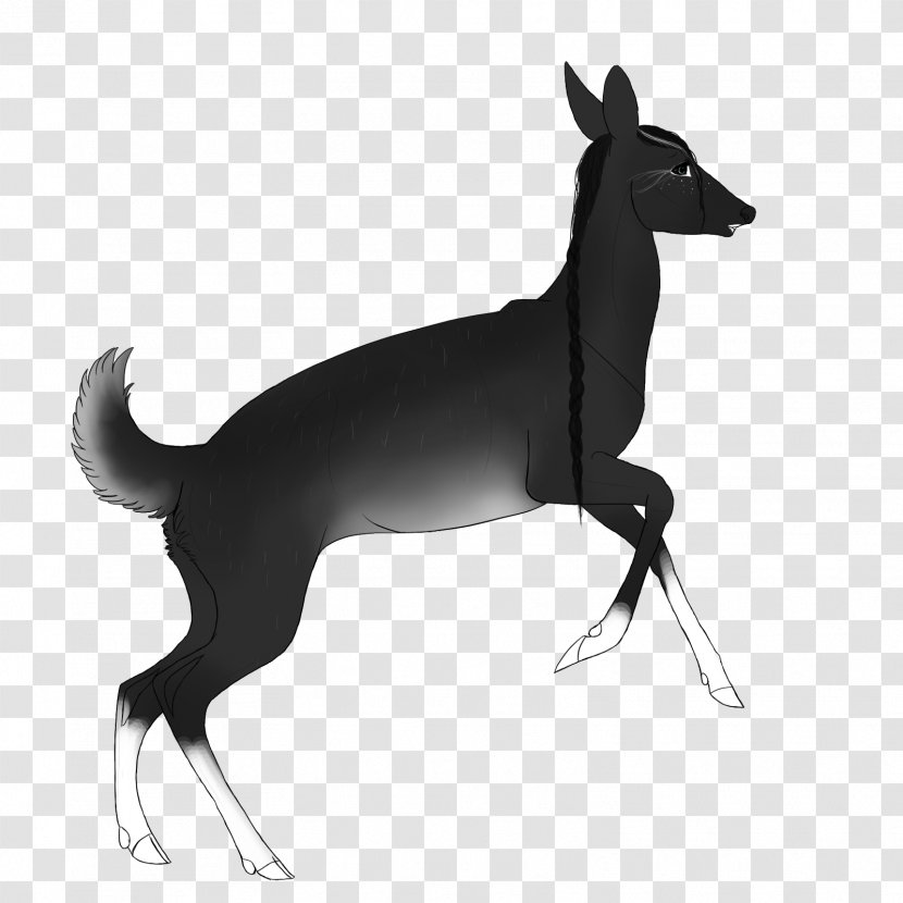 Italian Greyhound Dog Breed Horse Macropodidae Transparent PNG