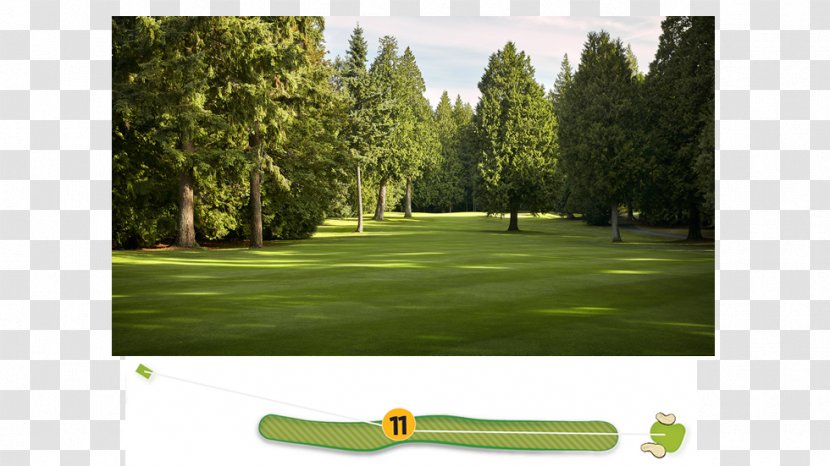 Golf Clubs Course Lawn - Recreation Transparent PNG