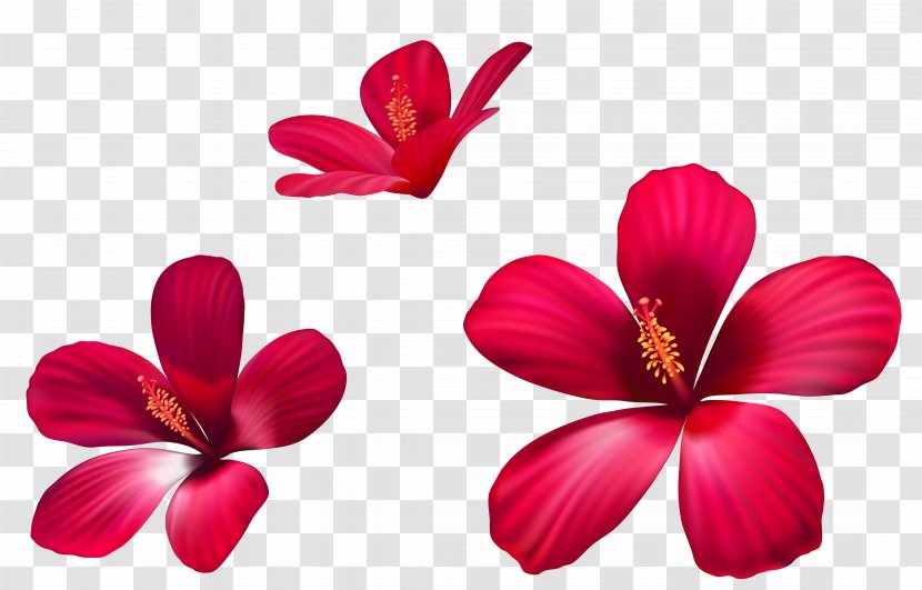 Pink Flowers Clip Art - Petal - Exotic Clipart Image Transparent PNG