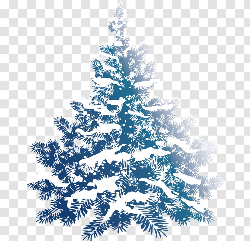 Christmas Tree Snow Pine Clip Art - Conifer Transparent PNG