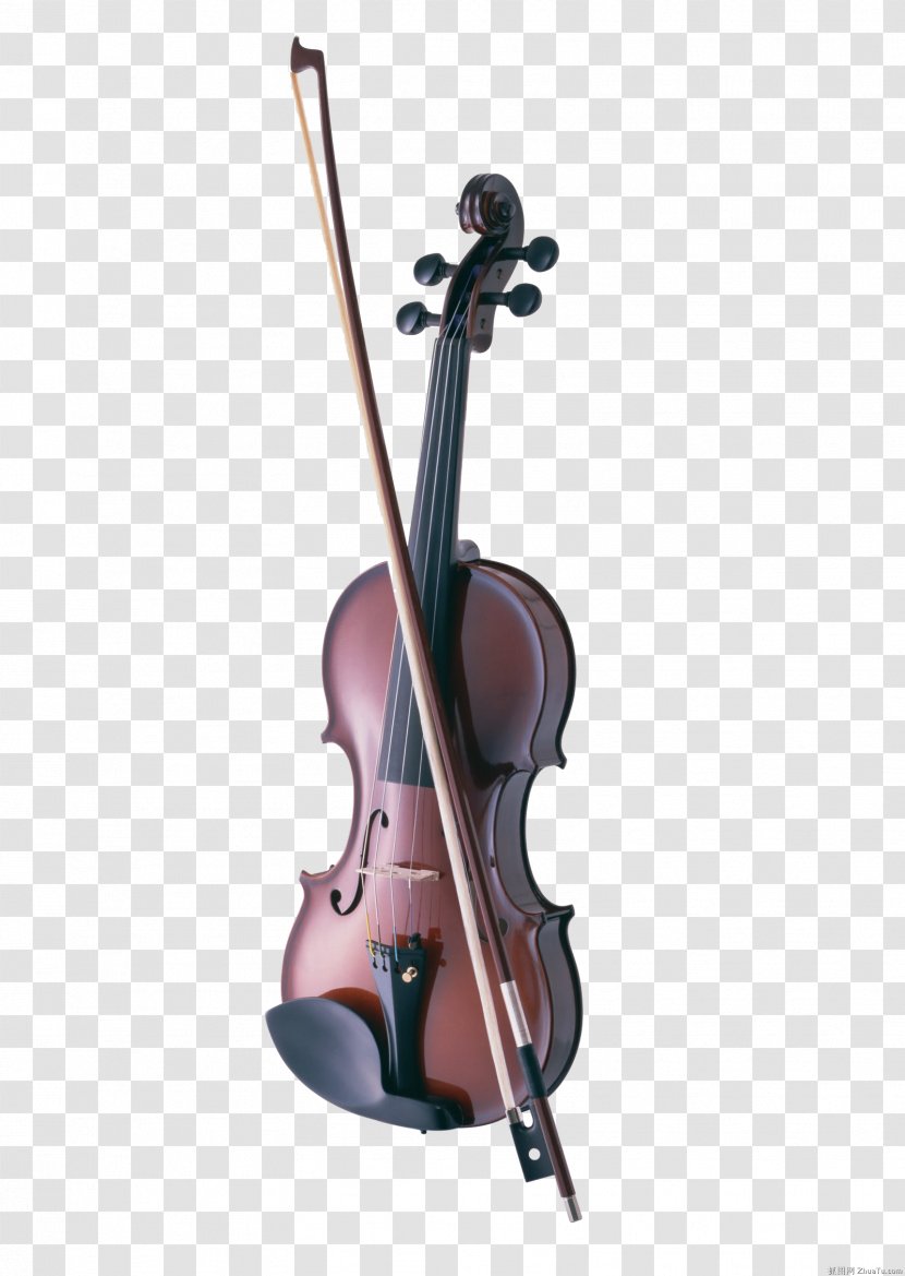 Cremona Cello Violin Musical Instrument - Flower - Instruments Transparent PNG