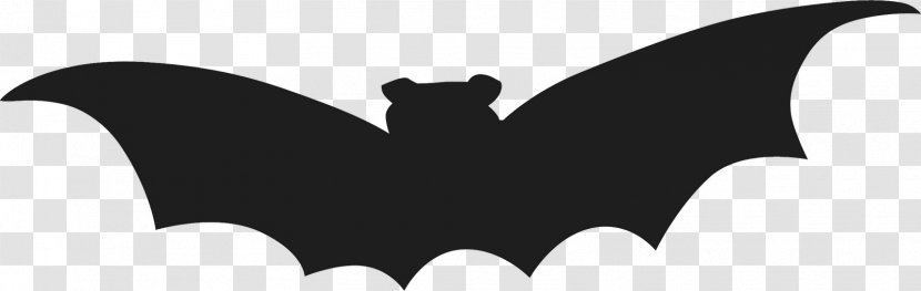 Bat Halloween Party Photography Silhouette - Moths And Butterflies Transparent PNG