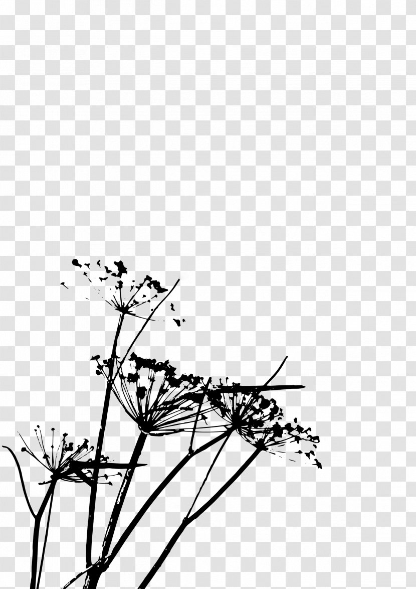 Dandelion Designer - Art - Hand-painted Transparent PNG