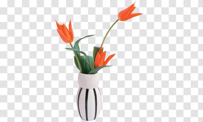 High-definition Television Display Resolution 1080p 4K Wallpaper - Orange Tulips As Cut Transparent PNG