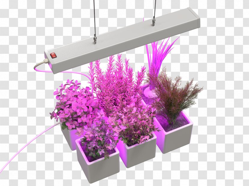 Light-emitting Diode Cold Frame Greenhouse Gardening - Lighting - Light Transparent PNG