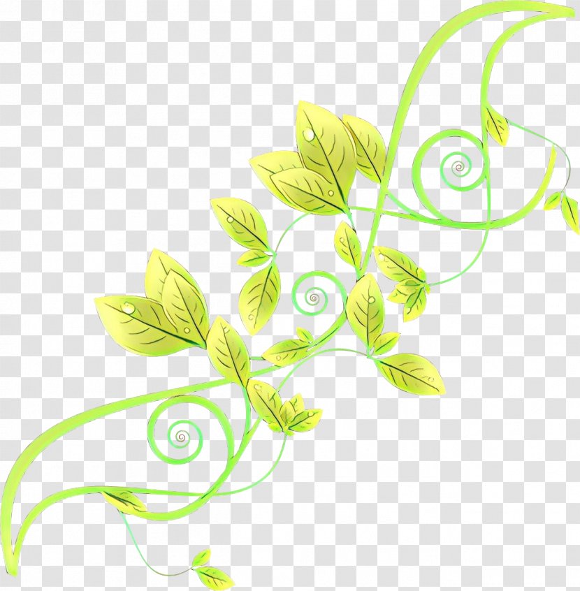 Leaf Green Plant Flower Stem - Pedicel Transparent PNG