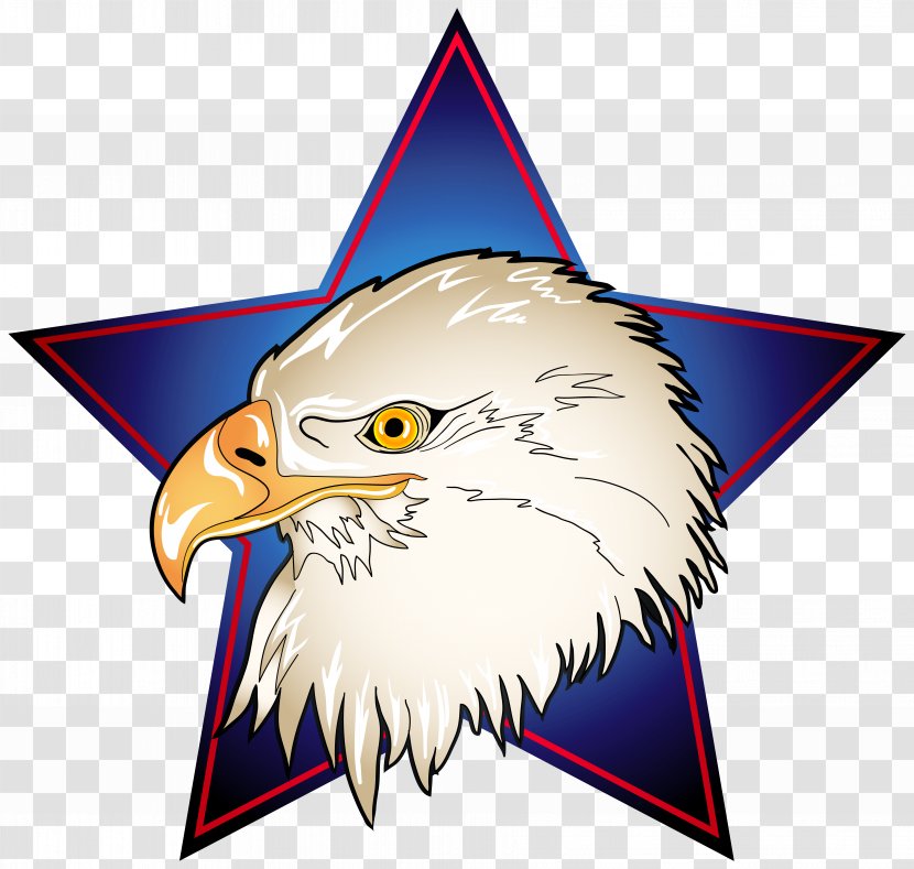 Bald Eagle Clip Art - Beak - Head In Blue Star Transparent Image Transparent PNG