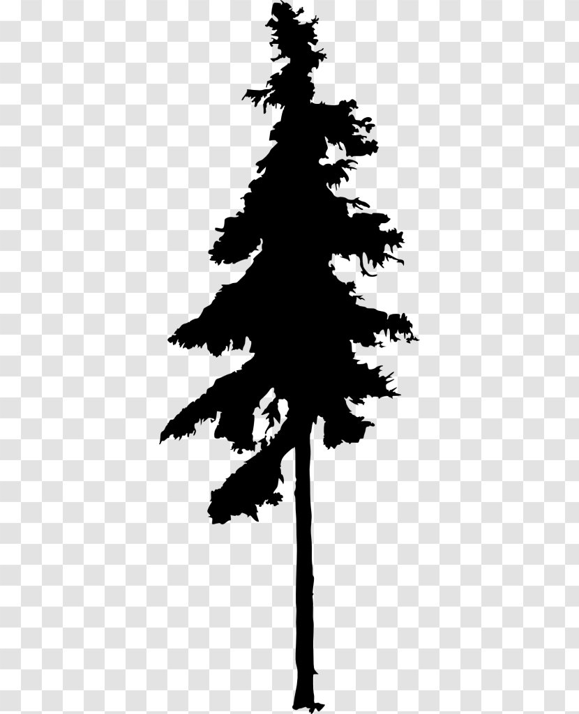 Fir Pine Silhouette Drawing - Black And White Transparent PNG