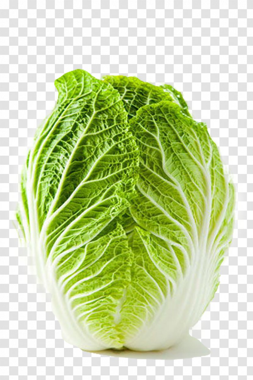 Shandong Lettuce Chinese Cabbage Shchi Vegetable - Komatsuna - Fresh Transparent PNG