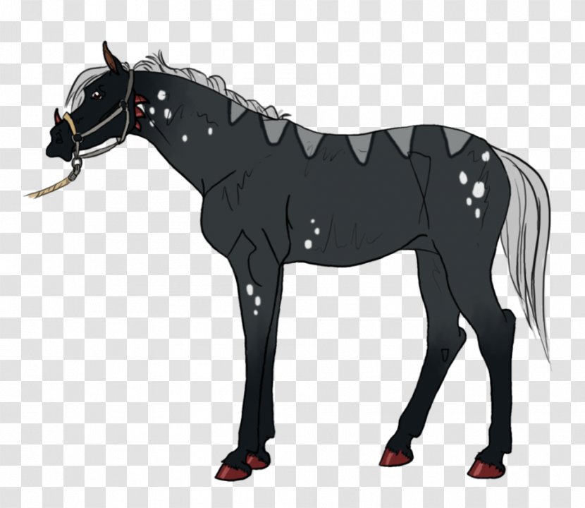 Mule Stallion Mare Mustang Hackney Horse Transparent PNG
