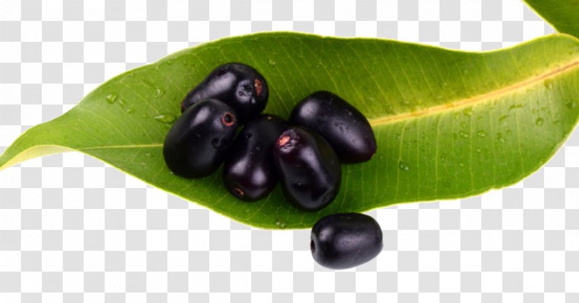 Java Plum Fruit Gulab Jamun Frutti Di Bosco - Blueberry - Transparent Background Transparent PNG
