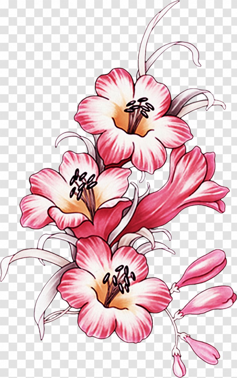 Flower Floral Design Picture Frames Petal Plant - Malvales - Handpainted Flowers Transparent PNG