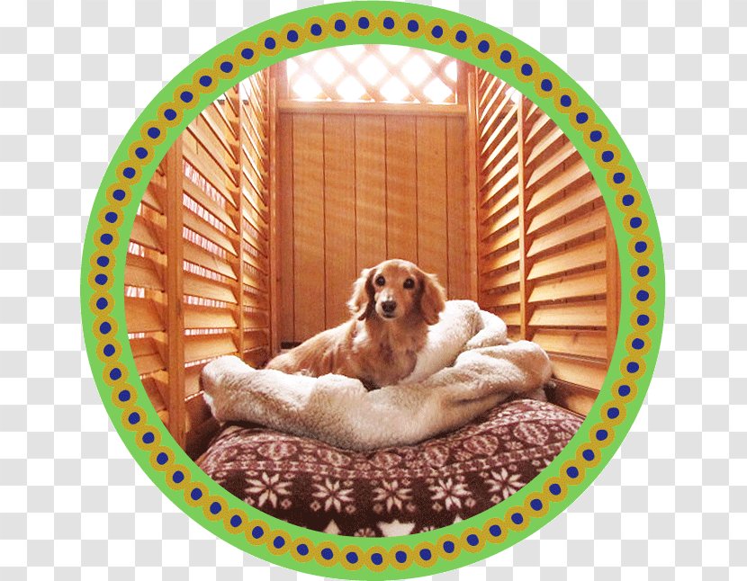 Cockapoo トリミングスタジオ４-ＤＯＧＳ Puppy Companion Dog Breed Transparent PNG
