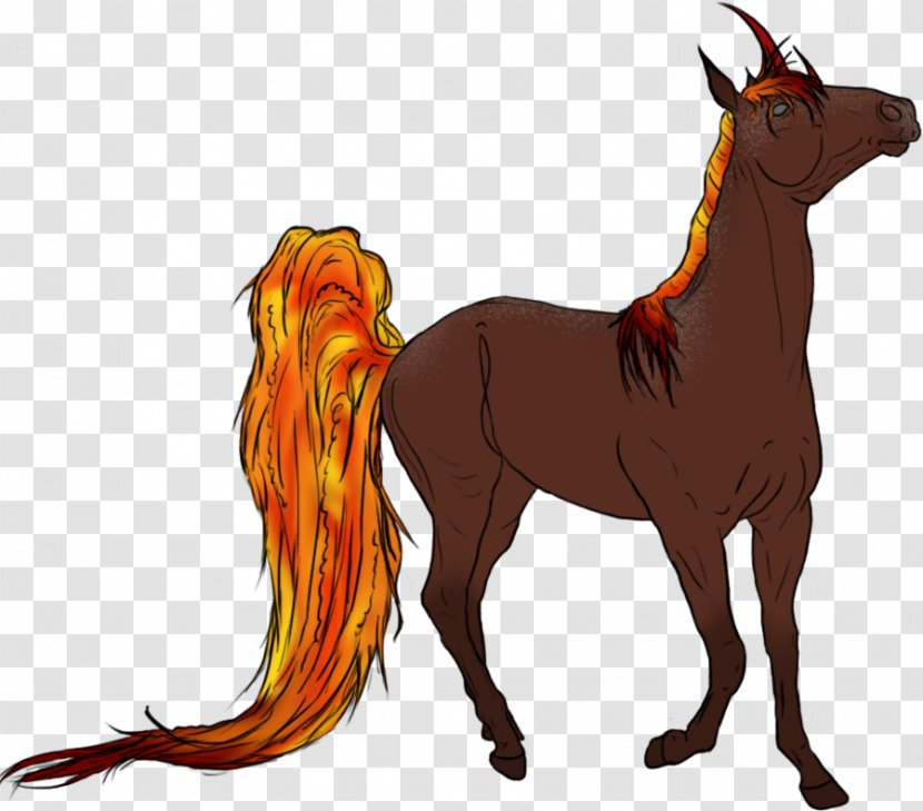Mustang Foal Mane Stallion Pony Transparent PNG