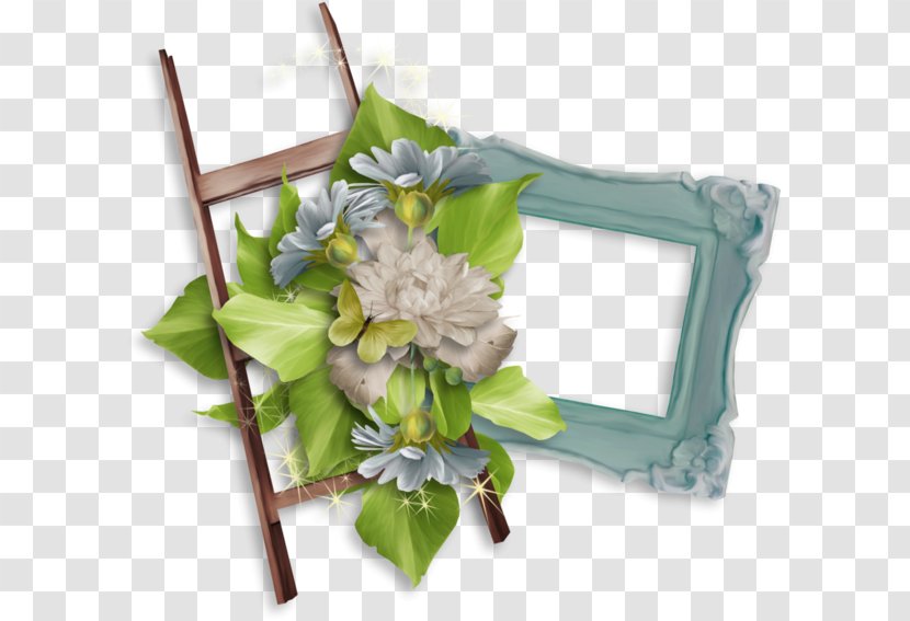 Cut Flowers Picture Frames Floral Design Clip Art - Photography Molding Transparent PNG