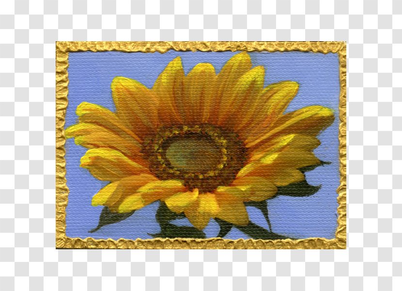 Common Sunflower Seed Daisy Family Yellow - Closeup - Watercolor Sky Transparent PNG