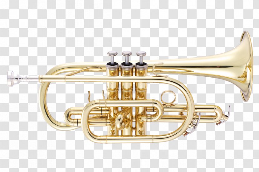 Cornet Trumpet Saxhorn Mellophone Tenor Horn - Tree Transparent PNG