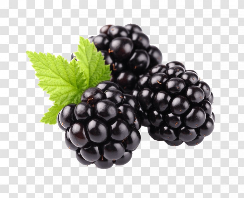 Blackberry Fruit Food - Aggregate Transparent PNG