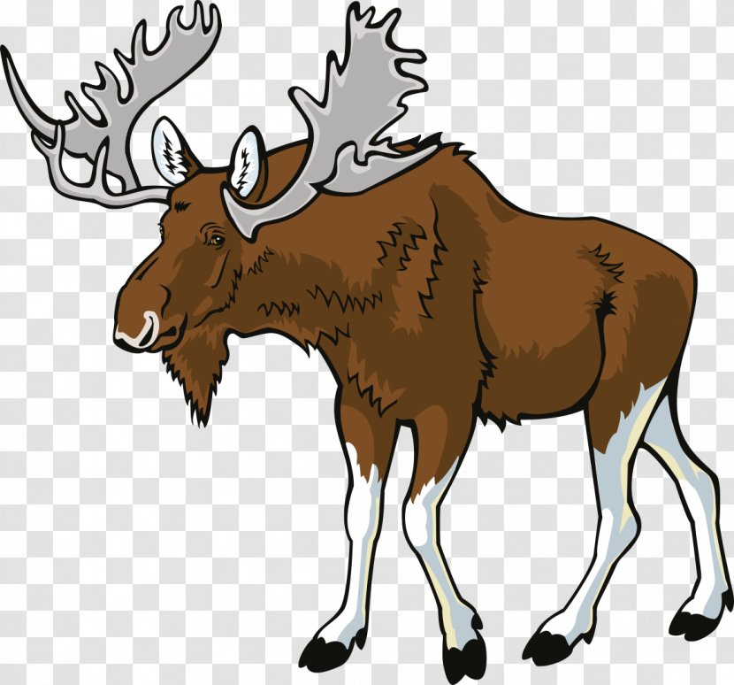 Wildlife Clip Art - Photography - MOOSE Transparent PNG