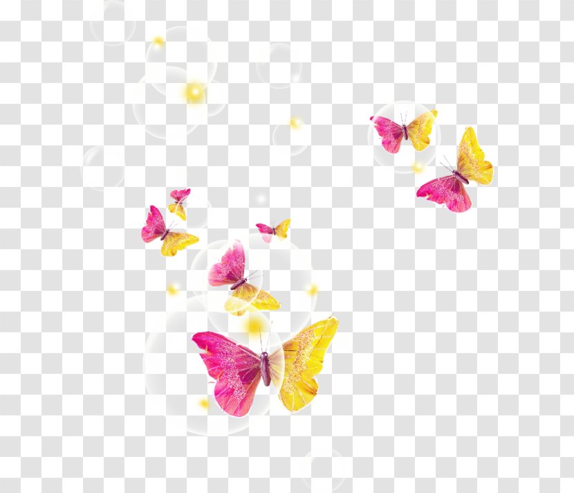 Watercolor Painting - Flower - Butterfly Transparent PNG