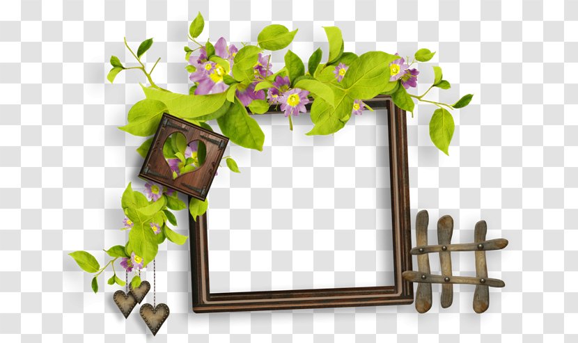 Flower Photography Clip Art - Plant Transparent PNG