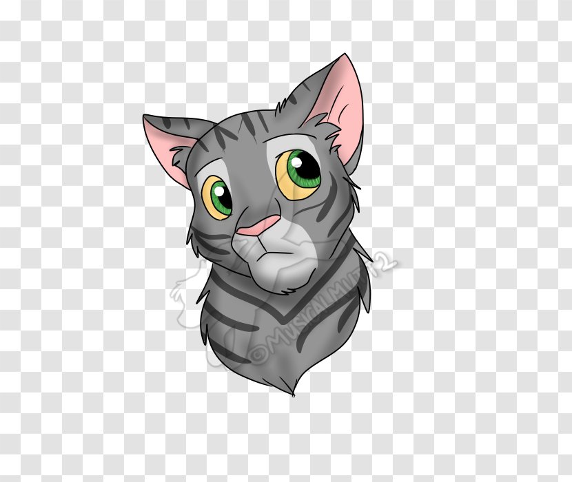 Whiskers Korat Kitten Domestic Short-haired Cat Tabby - Head Transparent PNG