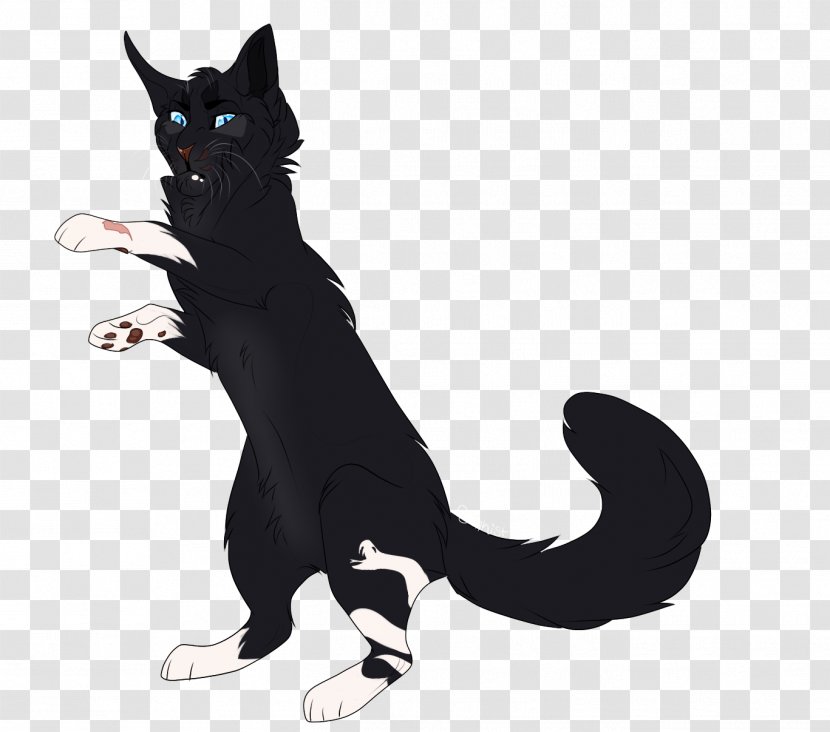 Whiskers Cat Dog Canidae Paw Transparent PNG