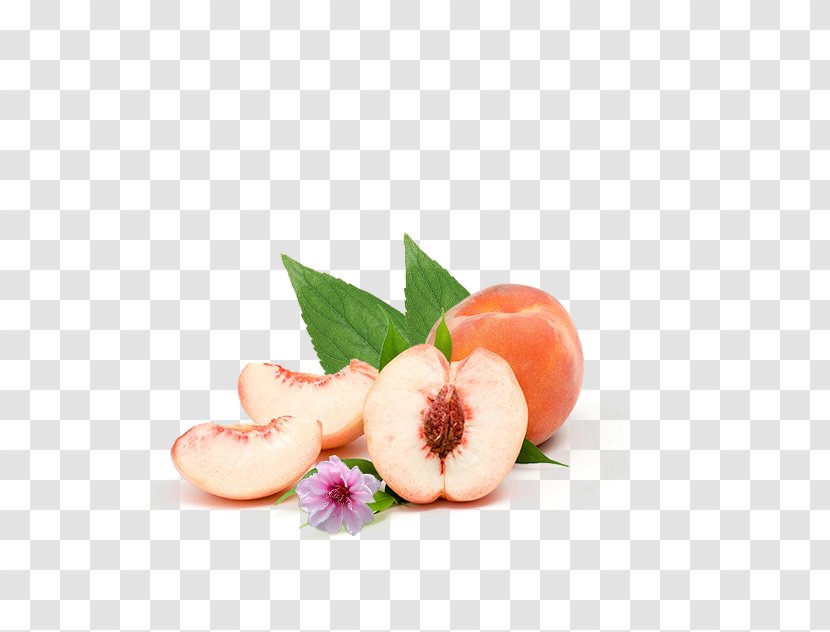 Peach Fruit Vecteur - Peaches Transparent PNG