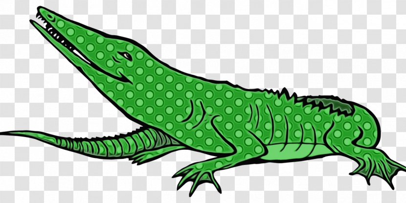Common Iguanas Lizard Crocodile Line Art Amphibians - Character Transparent PNG