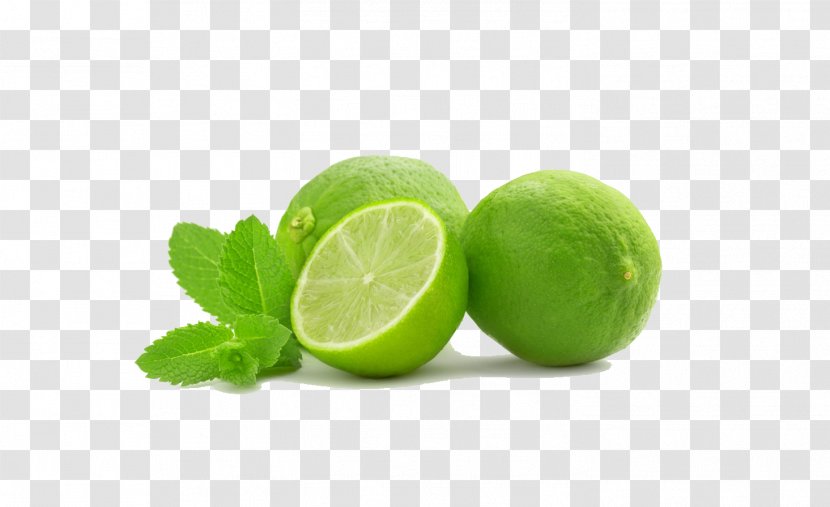 Key Lime Sweet Lemon Persian Transparent PNG