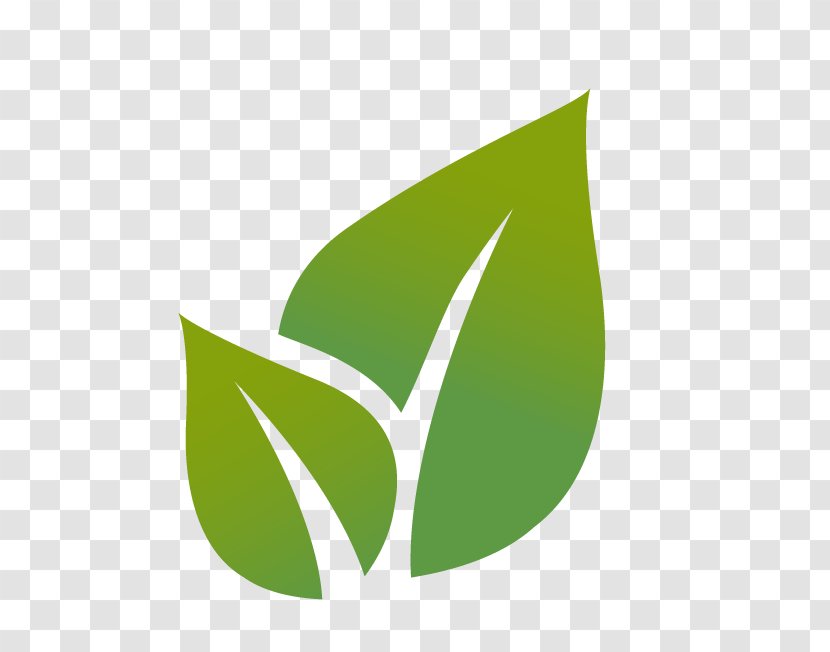 Leaf Royalty-free - Environmental Icon Transparent PNG