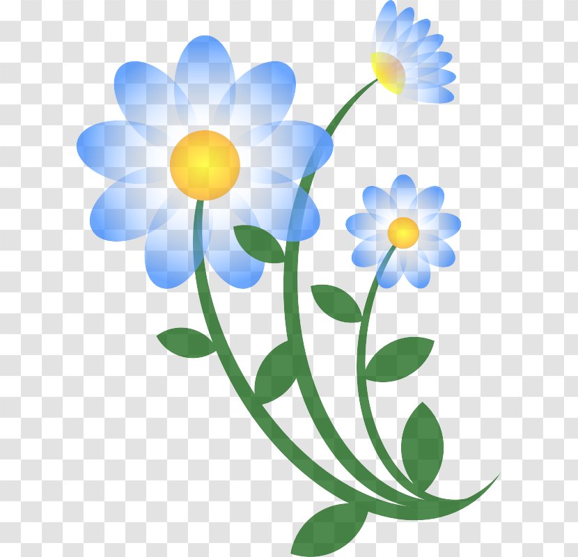 Daisy - Flower - Pedicel Oxeye Transparent PNG