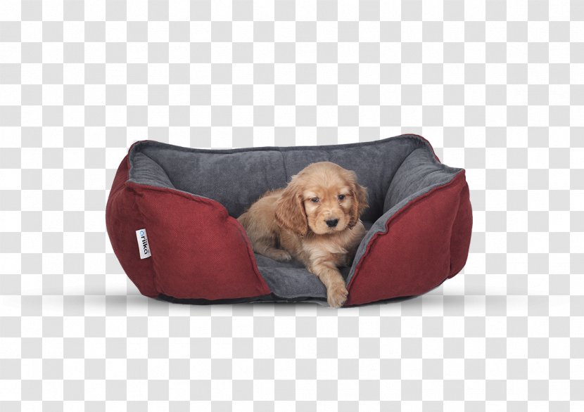 Bean Bag Chairs Dog Breed Bed Pillow Transparent PNG