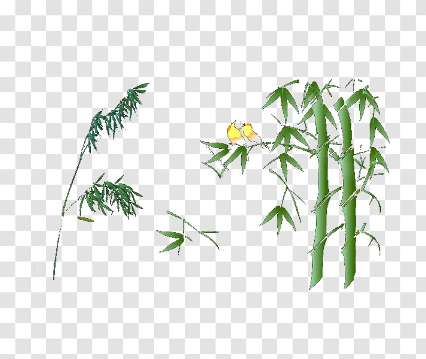 Bamboo Bamboe Euclidean Vector - Branch Transparent PNG